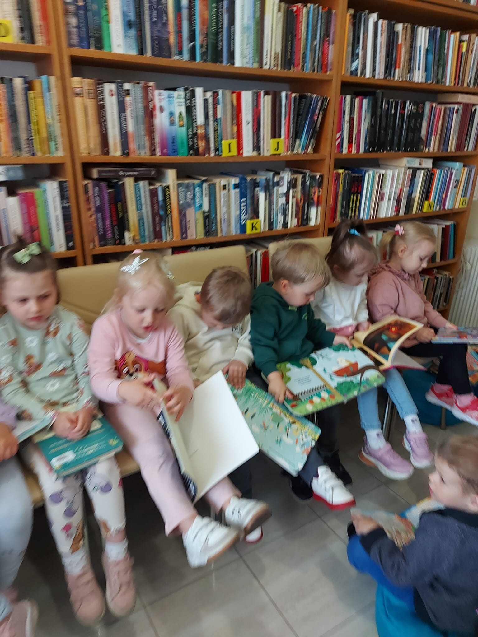 Misie z ciekawością przeglądają książki