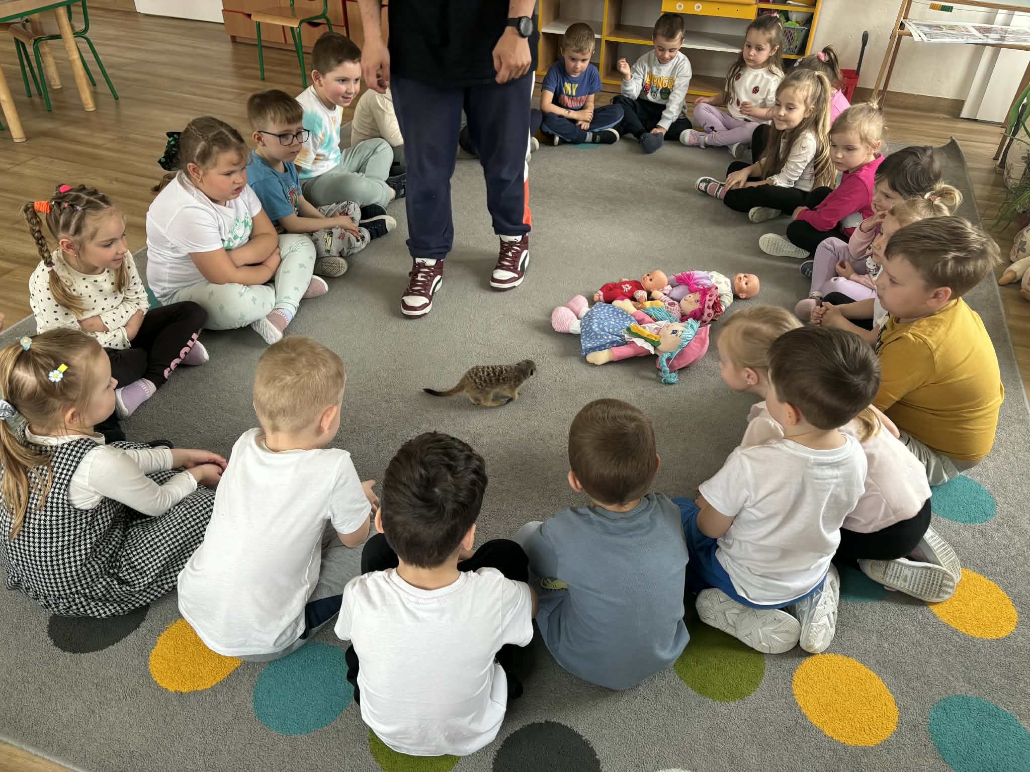Dzieci siedzą na dywanie z surykatką